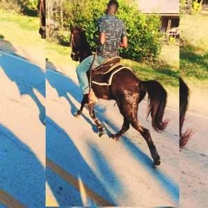 Meet your Posher, Vendal